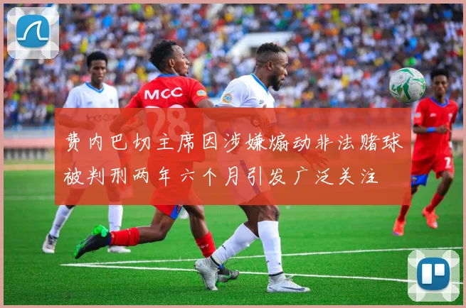 费内巴切主席因涉嫌煽动非法赌球被判刑两年六个月引发广泛关注