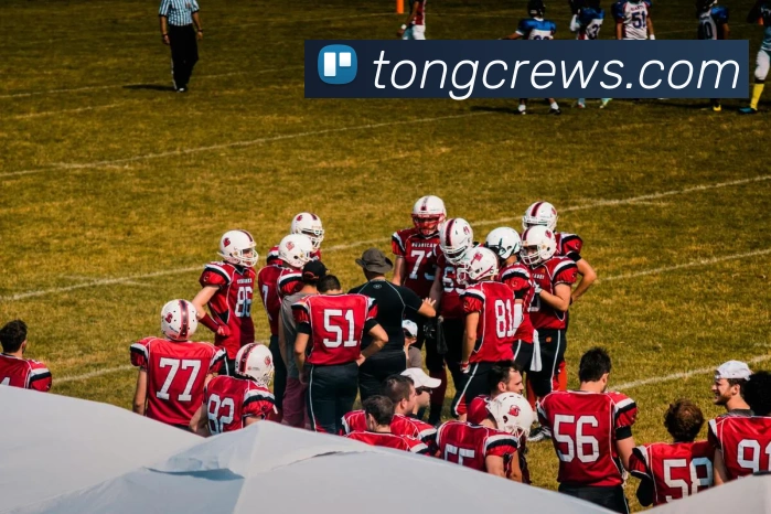 乐鱼网页登陆发展历程